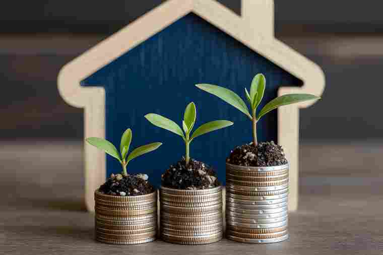 Holzhäuschen mit Münztürmen und Pflanzensprösslingen davor